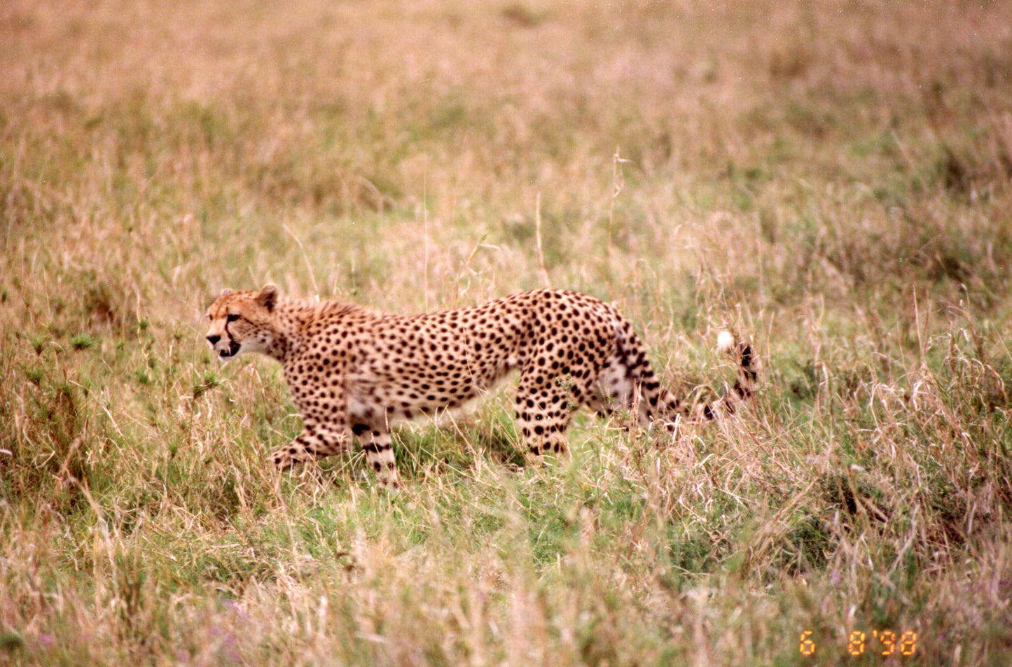 Tanzania