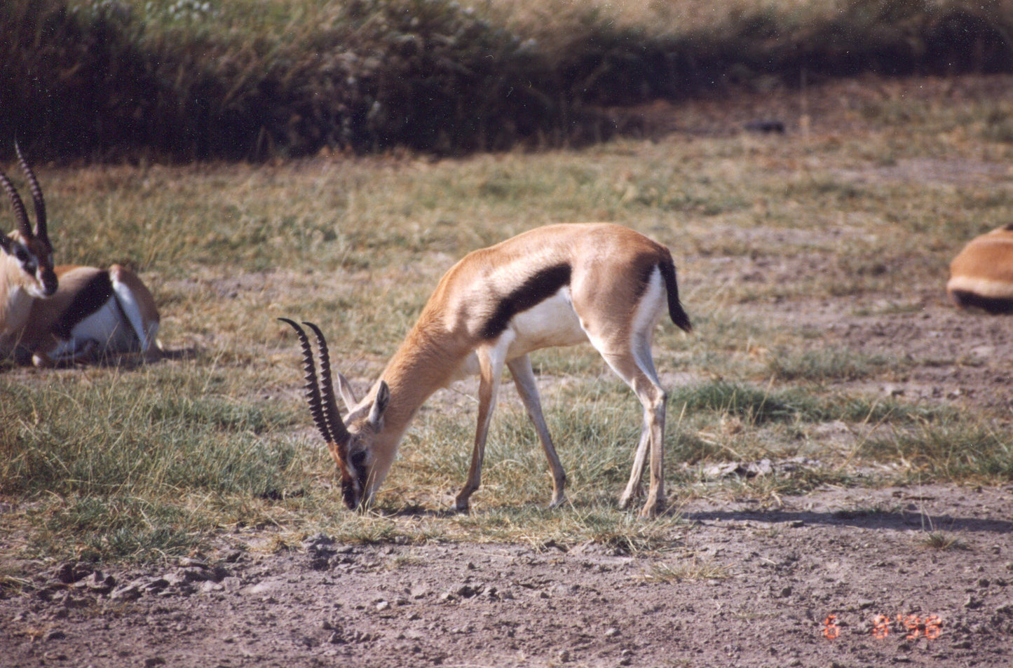 Tanzania